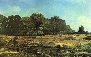 Alfred Sisley Avenue of Chestnut Trees near La Celle Saint Cloud oil painting reproduction